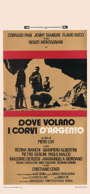 dove volano corvi - piero livi - locandina1