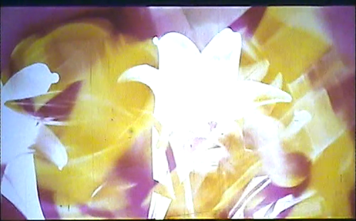 vlcsnap-2019-05-28-08h09m34s914